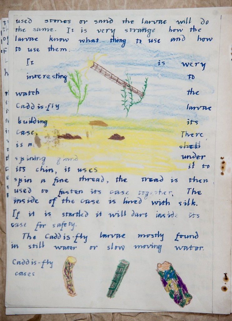school-work-684525_1280