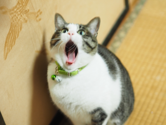 発声練習